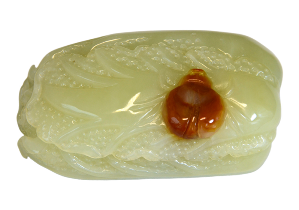 瓢虫白菜 - Image 7