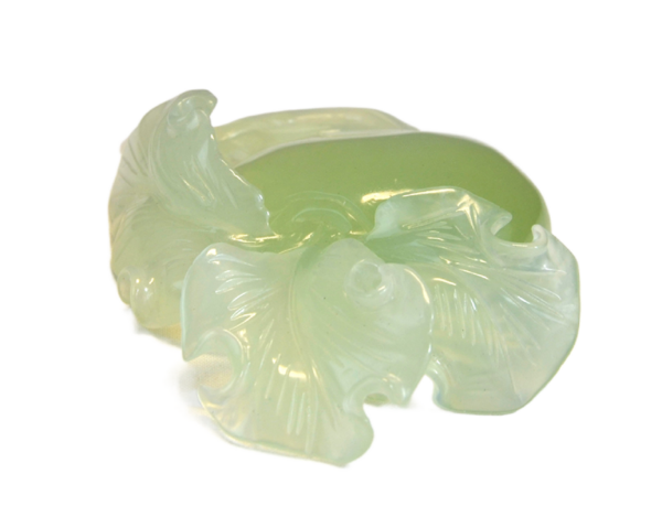 萝卜 - Image 4