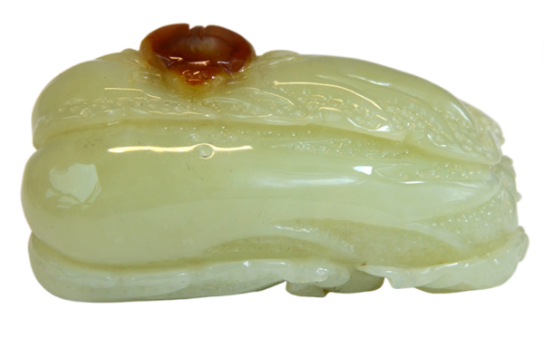 瓢虫白菜 - Image 6