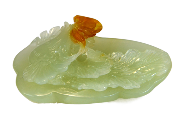 红冠凤凰 - Image 6