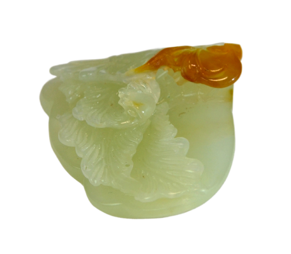 红冠凤凰 - Image 4