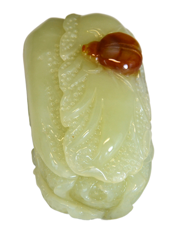 瓢虫白菜
