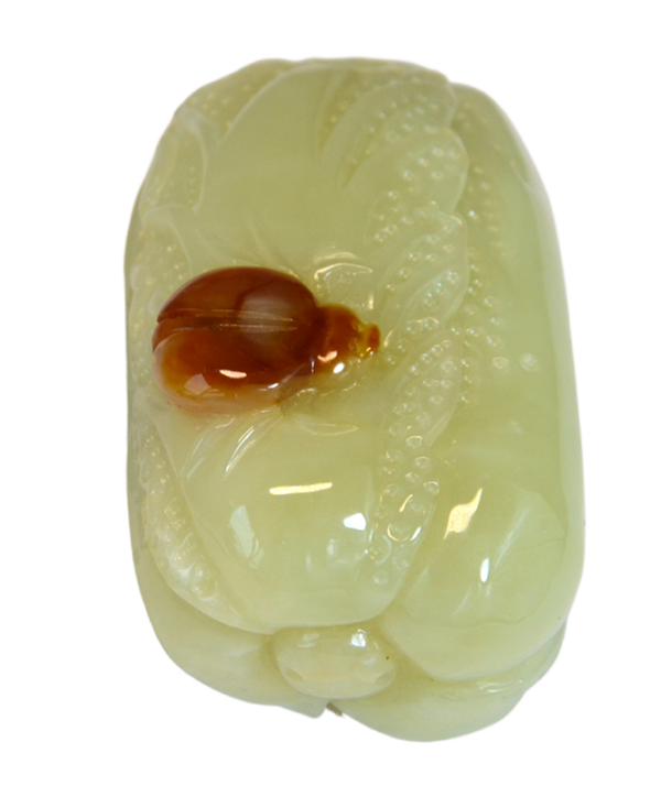 瓢虫白菜 - Image 8