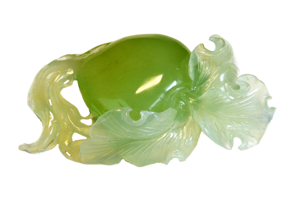 萝卜 - Image 6